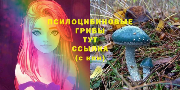 мяу мяу мука Алзамай