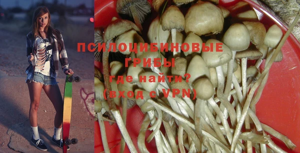 СК Магас