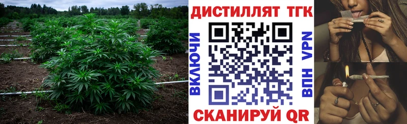 наркошоп  Абинск  Дистиллят ТГК THC oil 
