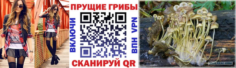 Галлюциногенные грибы прущие грибы  Абинск 